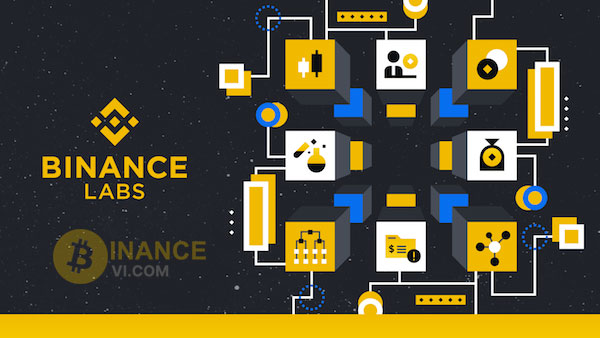 So với các sản phẩm khác, Binance Labs tồn tại nhiều bất lợi khó tránh khỏi hơn