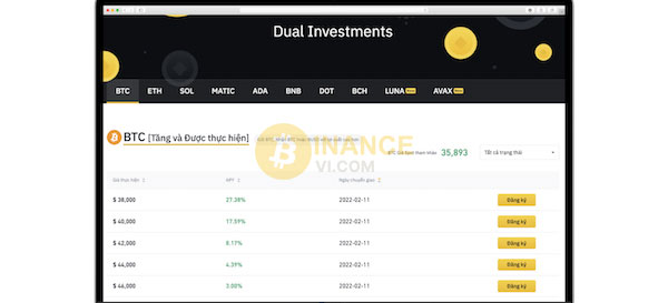 Dual Investment là gì?