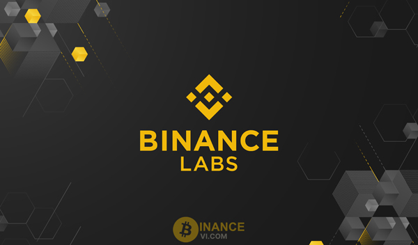 Binance Labs là gì? Đón đầu xu hướng đầu tư quỹ Binance Labs