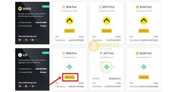 Chọn “Stake Now” ngay tại dự án bạn muốn tham gia tại sàn