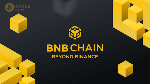 Bạn đã hiểu được BNB Chain là gì rồi đúng không?