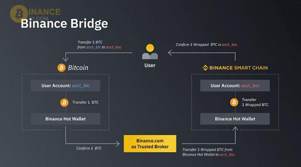 Các chuỗi chéo trong Binance Smart Chain có khả năng kết nối và tương thích với nhau