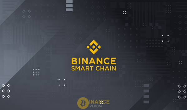 Binance Smart Chain là gì? Cơ chế hoạt động của BNB Chain