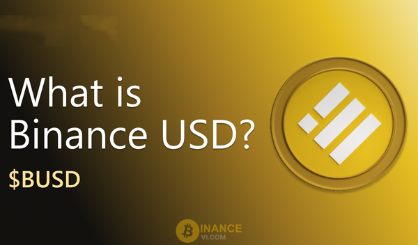 BUSD là gì? Chi tiết về đồng tiền điện tử Binance USD