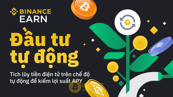 Auto Invest Binance và những điểm chính cần nắm