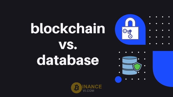 Sự khác biệt giữa Database vs Blockchain là gì?