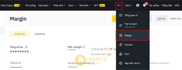 Giao diện mục Balance Details của Margin