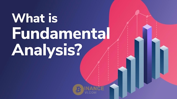 Phân tích cơ bản - FA là gì?