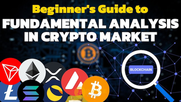 Fundamental Analysis cho Beginner