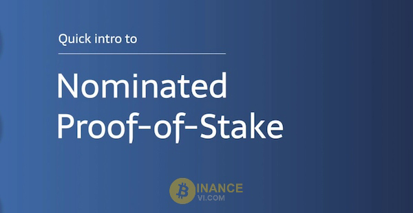 Thông tin cơ bản về biến thể Nominated Proof of Stake (NPoS)