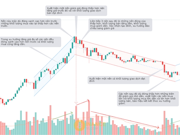 4 chiến lược giao dịch Volume giúp trader nhìn nhận toàn diện hơn về tình hình thị trường