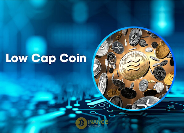 Bạn hiểu được Low Cap Coin là gì?