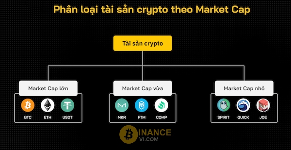 Dựa vào Market để phân loại tài sản Crypto