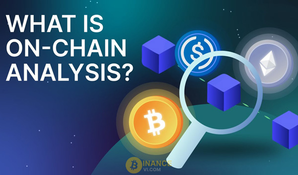 On-Chain là gì? Hướng dẫn phân tích dữ liệu On-chain chi tiết