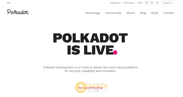 Đồng Polkadot (DOT)