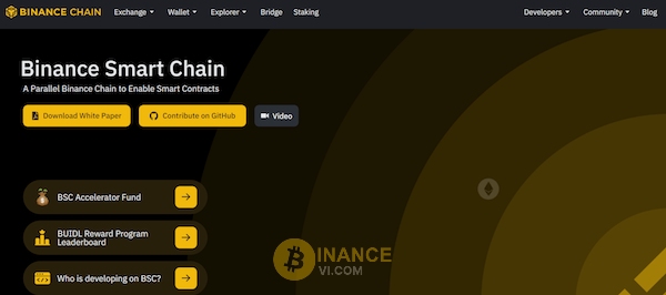 Binance Smart Chain (BNB) của sàn Binance