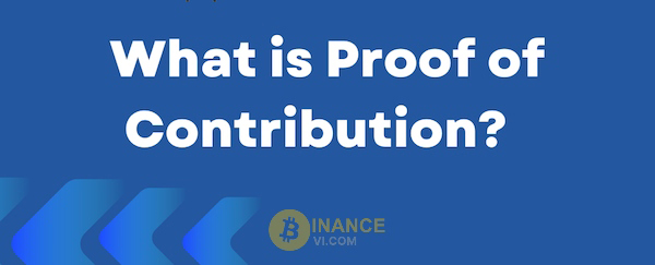 Proof of Contribution (PoC) trong các cơ chế đồng thuận hiện nay