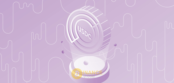 Nhà đầu tư và trader là những đối tượng của hai đồng USDC và USDT