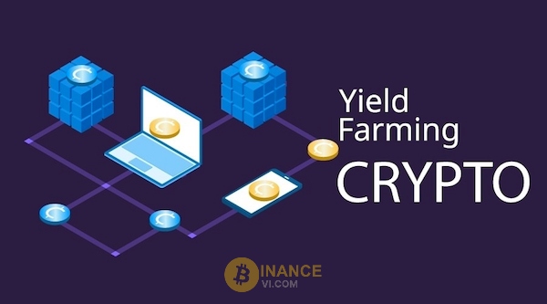 Lợi ích và hạn chế của Yield Farming là gì?