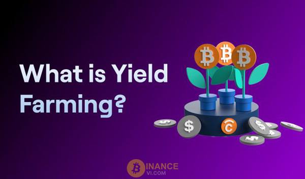 Yield Farming là gì? Cơ hội và rủi ro của Yield Farming Crypto