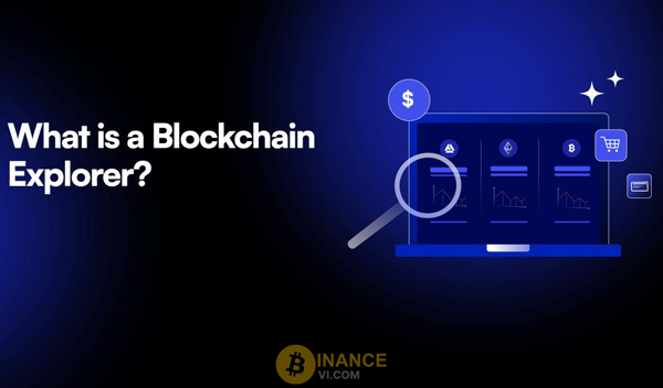 Blockchain Explorer là gì? Tác dụng và cách thức sử dụng