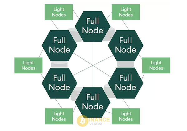 Full nodes trong Blockchain