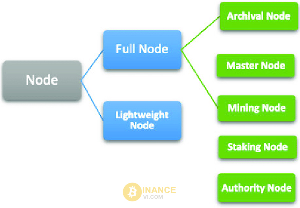 Hai node chính trong blockchain