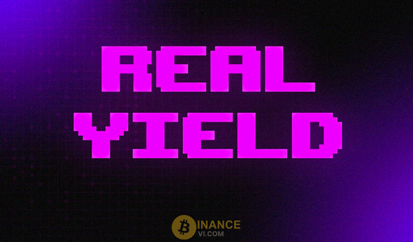 Real Yield là gì? Giải quyết vấn đề gì trên thị trường?