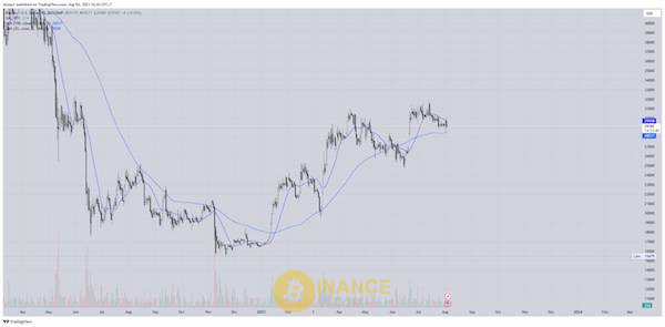 2 loại đường SMA20 và SMA100 tại khung Chart BTC